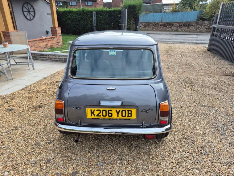 Rover Rover Mini