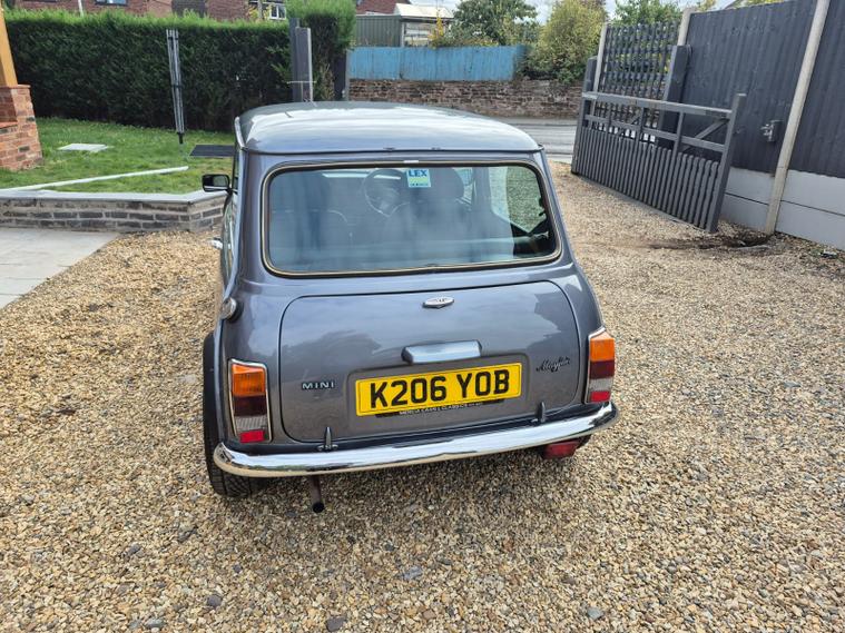 Rover Rover Mini