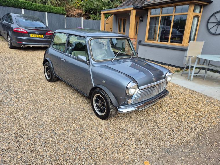Rover Rover Mini
