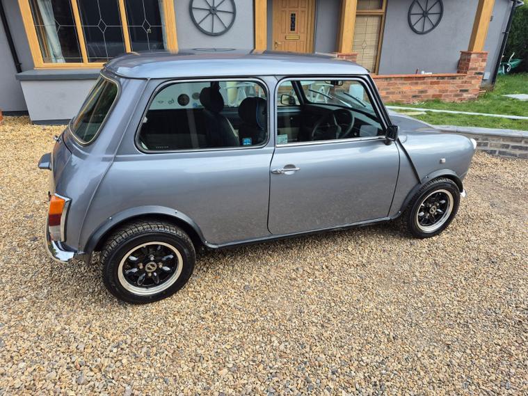 Rover Rover Mini
