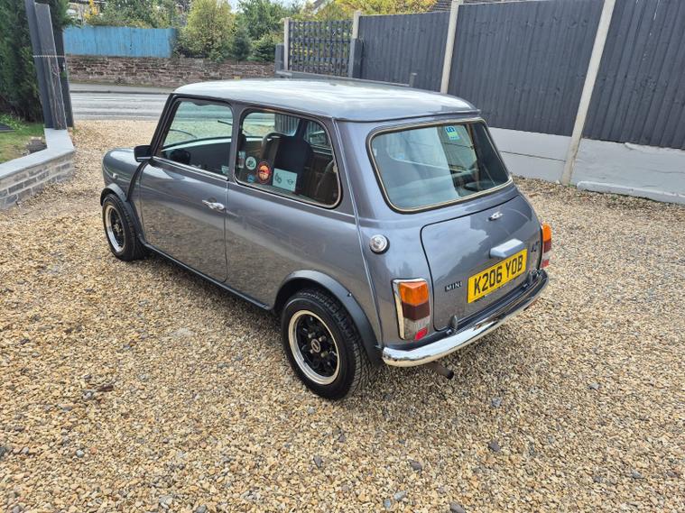 Rover Rover Mini