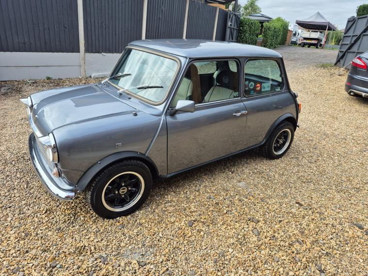 Rover Rover Mini