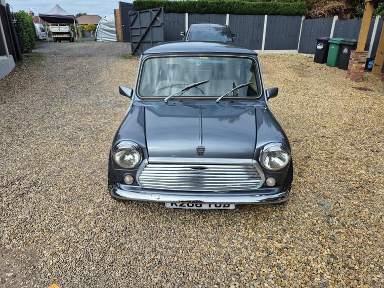 Rover Rover Mini
